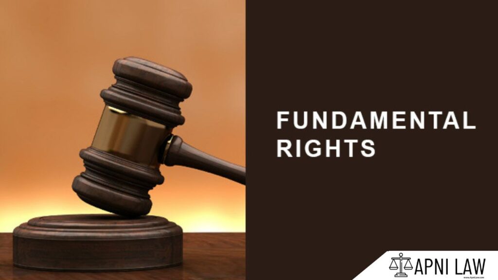 The Six Fundamental Rights In The Indian Constitution