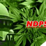 NDPS Act