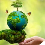 Understanding Environmental Laws In India: A Guide